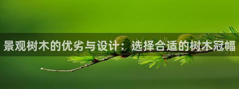 摩根 娱乐宝骗了我