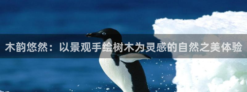 摩根娱乐外汇