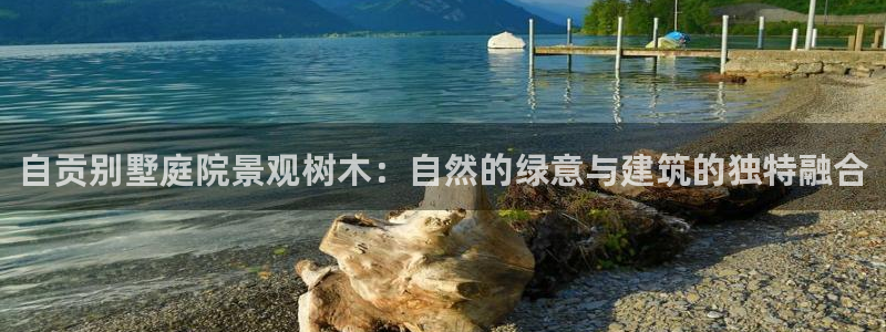 摩根娱乐外汇：自贡别墅庭院景观树木：自然的绿意与建筑的独特融合