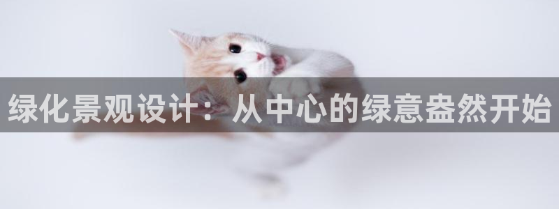 摩根娱乐宝机怎么玩
