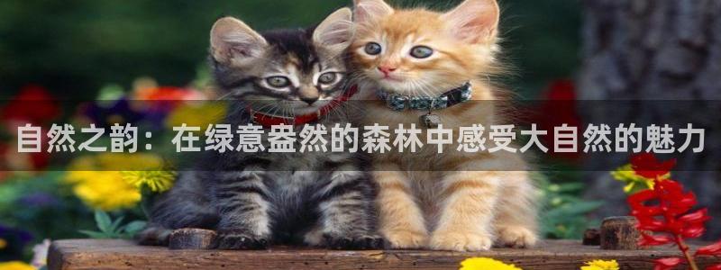 芜湖摩根一百有哪些娱乐