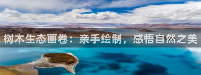 摩根国际娱乐宝