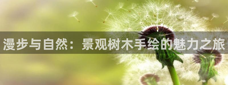 摩根 娱乐宝骗了我:漫步与自然:景观树木手绘的魅力之旅