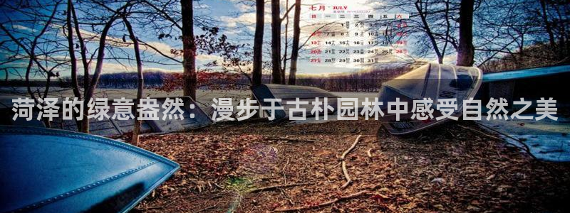 摩根娱乐宝收益怎么样:菏泽的绿意盎然:漫步于古朴园林中感受自然之美