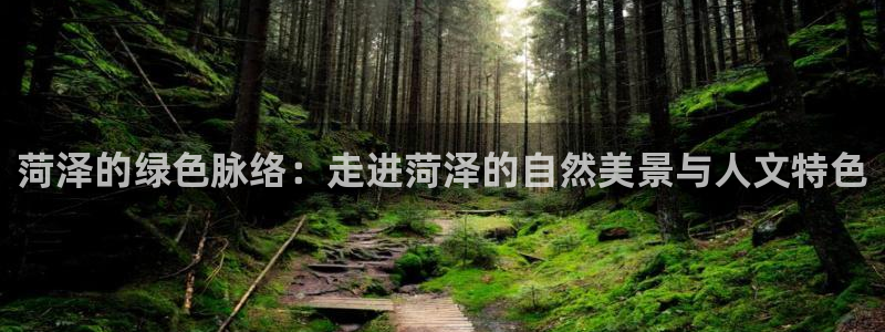 摩根娱乐 实c力77310:菏泽的绿色脉络:走进菏泽的自然美景与人文特色