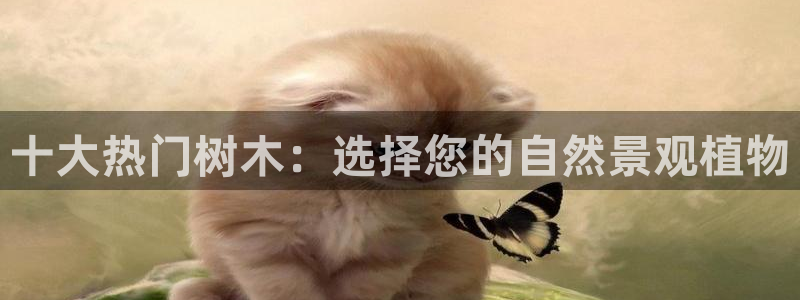 泉州摩根娱乐会所招聘