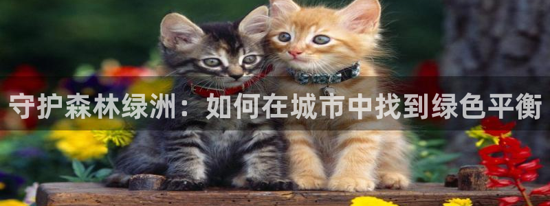 摩根娱乐包是什么