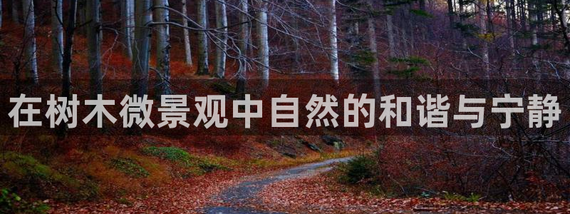 摩根大通王者娱乐