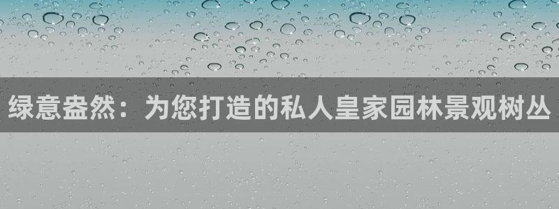 摩根娱乐宝总部
