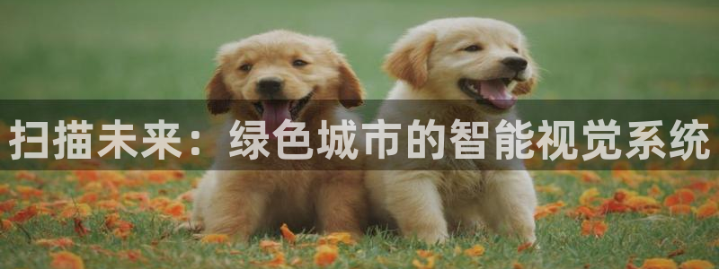 摩根娱乐 1老j板50820