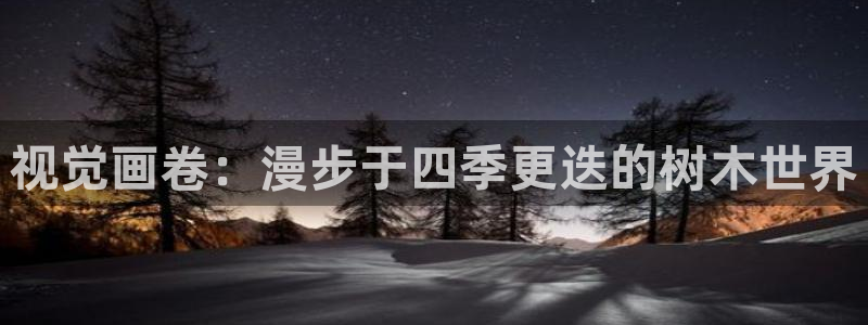 摩根娱乐宝微交易