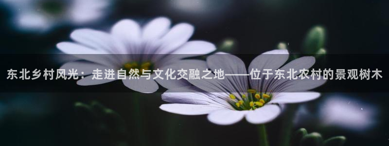 义乌摩根娱乐会所招聘