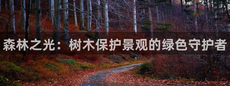 海贼王之娱乐摩根斯:森林之光:树木保护景观的绿色守护者