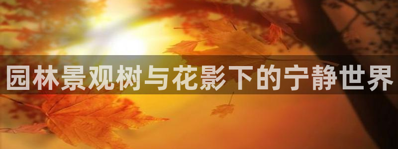 摩根娱乐宝账户