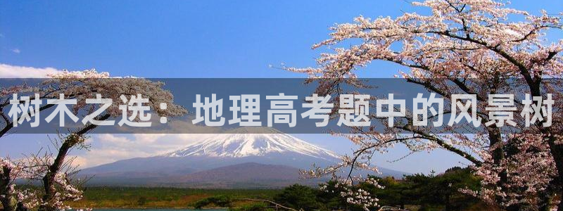 摩根大通旗下娱乐公司