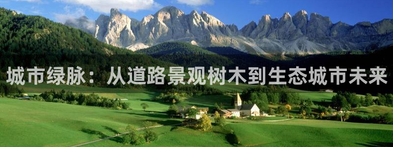 摩根娱乐 F招D商98732