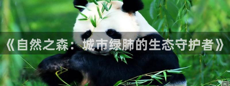 摩根娱乐挂机项目怎么样