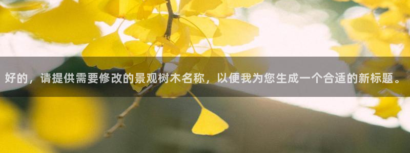 长春拉图摩根娱乐