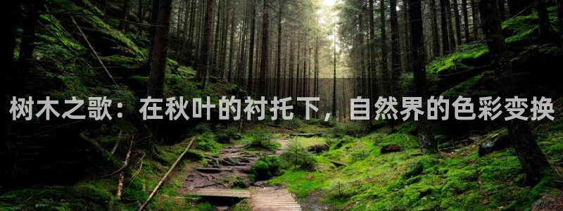 泉州摩根会娱乐保安招聘