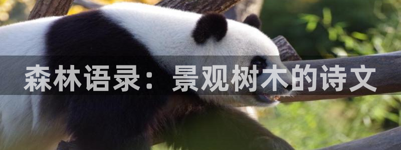 摩根娱乐宝是诈骗吗