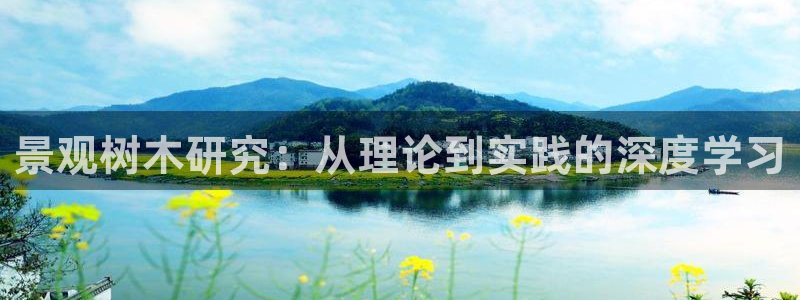 摩根国际娱乐宝书籍