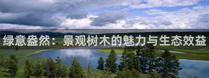 摩根娱乐宝k线图