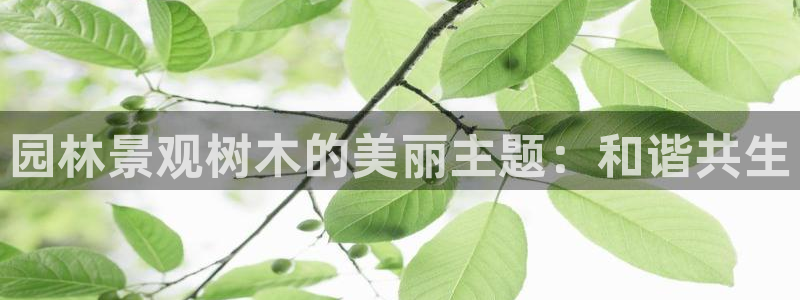 重生娱乐人生莉莉丝摩根