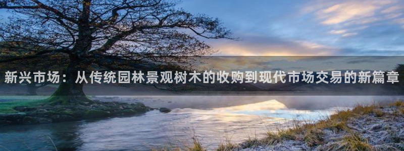 摩根士丹利娱乐：新兴市场：从传统园林景观树木的收购到现代市场交易的新篇章