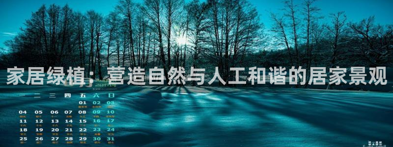 摩根在娱乐圈爆红