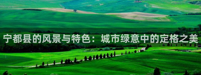 白宫摩根会娱乐有限公司