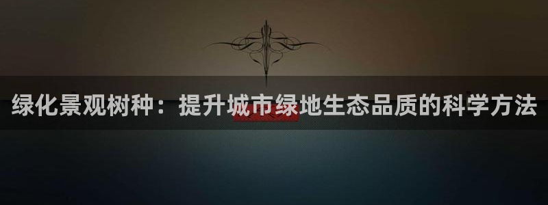 泉州摩根会娱乐有限责任公司管理