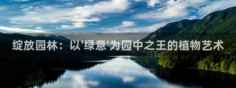 摩根国际娱乐宝书籍