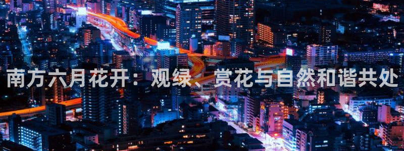 摩根士丹利娱乐银行