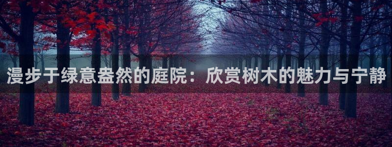 摩根娱乐宝怎么样