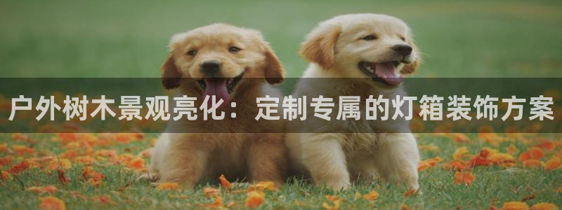 深圳摩根时代娱乐公司