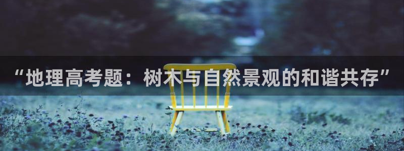 摩根娱乐宝怎么提现