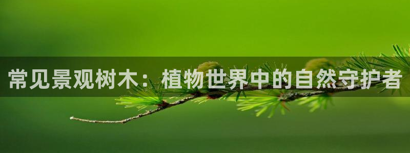 摩根娱乐彩票最忌三种东西