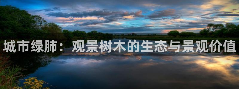 摩根娱乐垫付任务靠谱吗