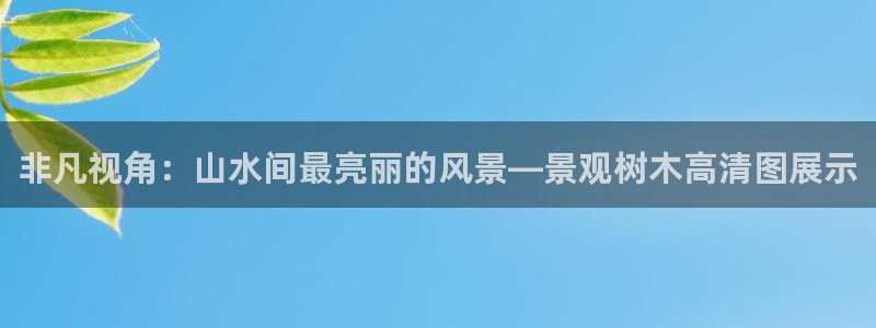 福建泉州白宫摩根会娱乐