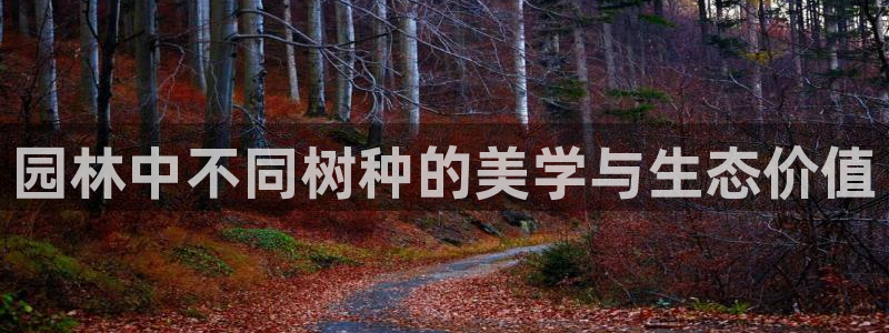 义乌摩根娱乐会所老板