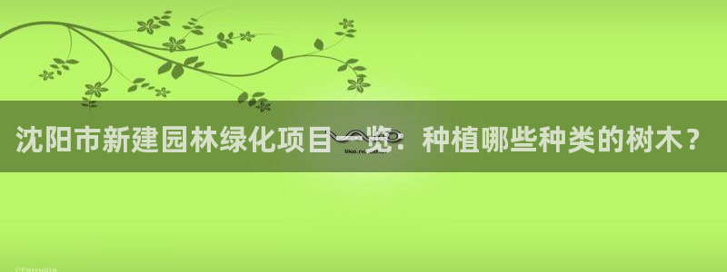 摩根娱乐宝手机客户端