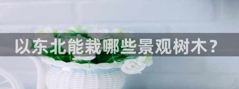 摩根娱乐身生个女孩吧