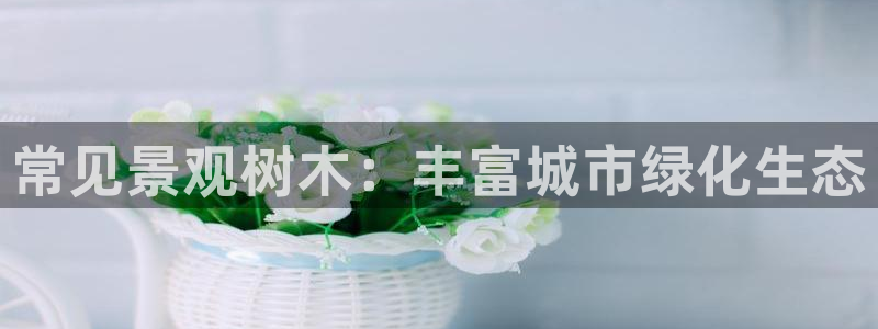 摩根娱乐宝骗了我