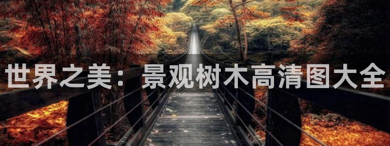 摩根国际娱乐宝进不去