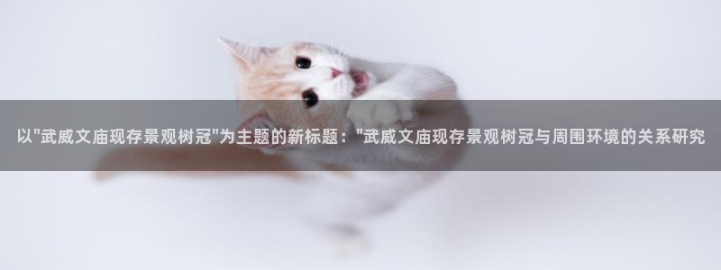 嘉兴摩根大饭店 娱乐