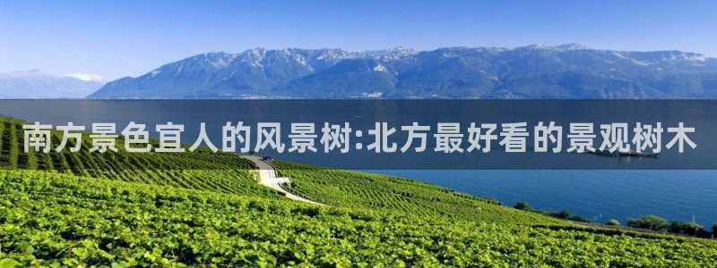 义乌摩根娱乐消费多少