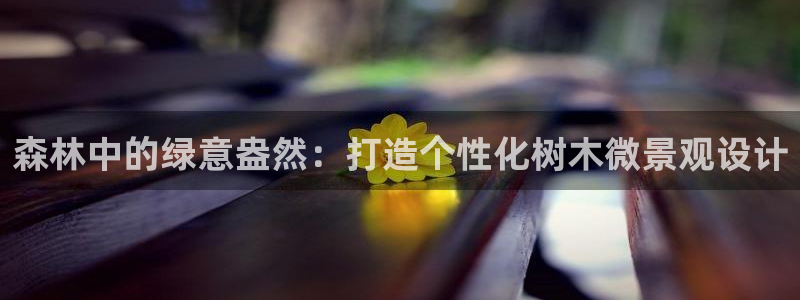 摩根娱乐公会创始人