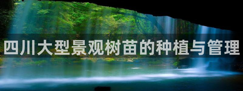 南阳市摩根娱乐