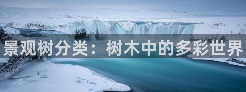 摩根娱乐信益怎么样
