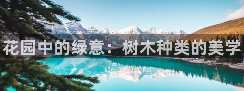 摩根娱乐平台黑